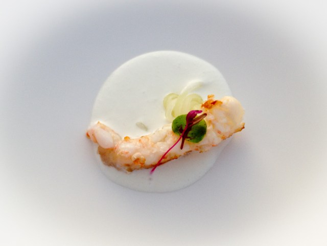 5 Crayfish from Algarve