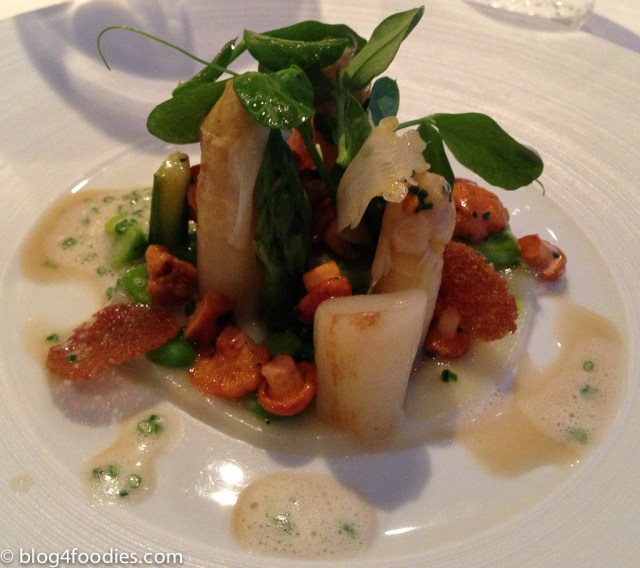 8 - Asparagus - GästeHaus Erfort