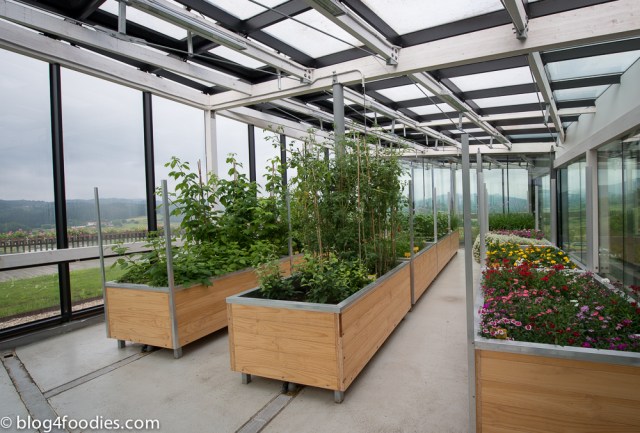 Greenhouse on top of the restaurant