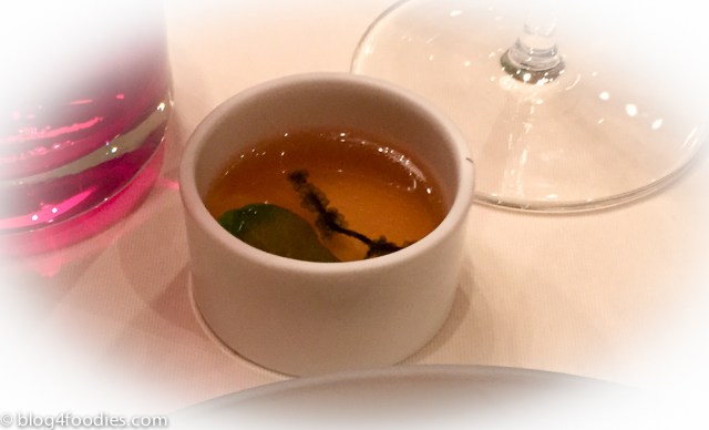 Pigeon broth