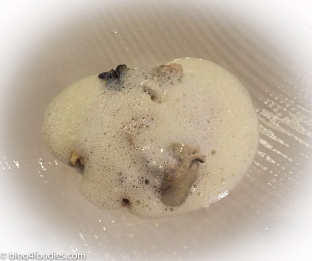 OYSTERS OF PAPIN-POGET