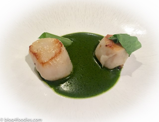SCALLOPS / SORREL, VANILLA