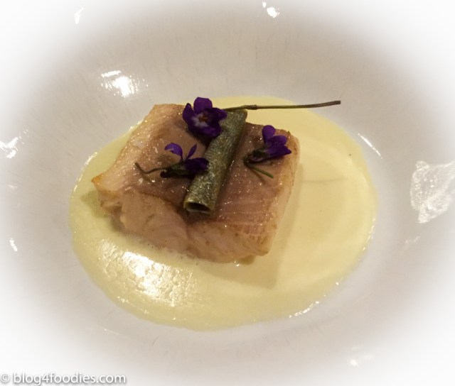 TROUT / FLOWER INFUSION