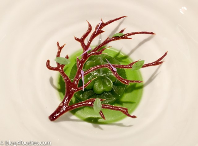 Wood Sorrel & Woodruff