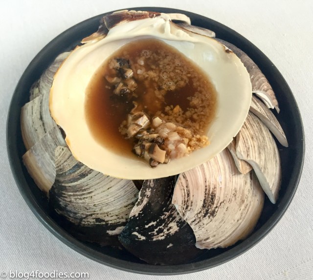 Mahogany clam