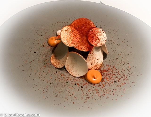 Wagyu Stroganoff - serving #1